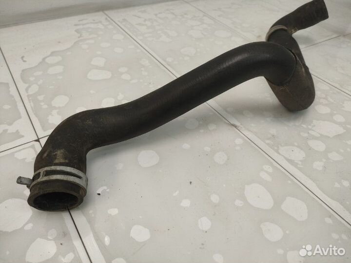 Патрубок радиатора верхний Ford Focus 3 iqdb 2013