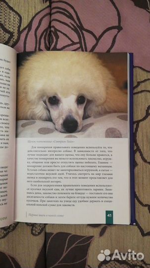 Книга Пудель, руководство для владельцев DOG-профи