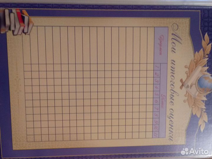 Портфолио школьника