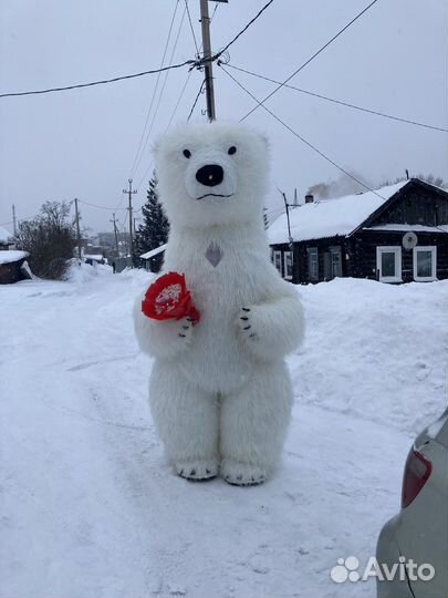 Белый мишка и панда /экспресс поздравление