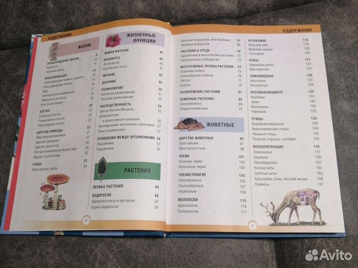 Энциклопедия 