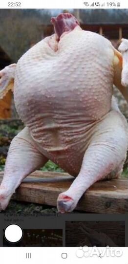 Мясо индейки (тушки) опт и розница