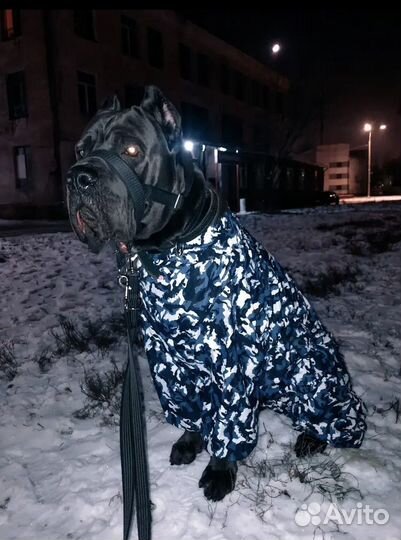 Зимний комбинезон для крупных пород собак