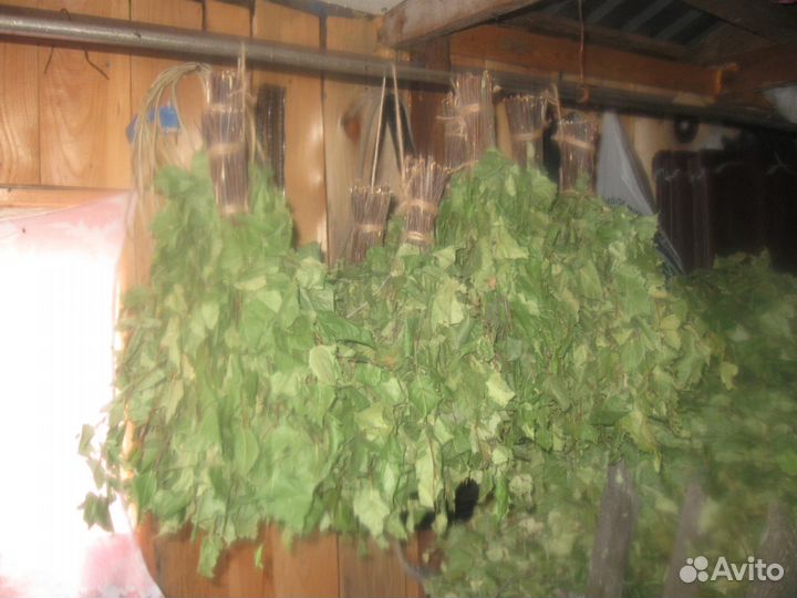 Березовые веники