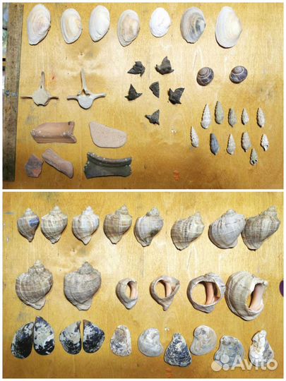 Природные материалы декор палочки дрифтвуд