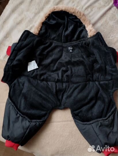 Одежда для маленьких собак зима