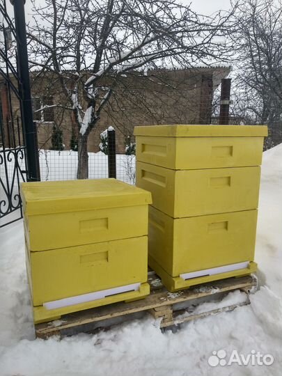 Ульи для пчел сделаны из ппу 12 рамок цельнолитые