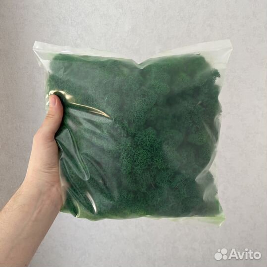 Стабилизированный мох оптом, ягель для панно