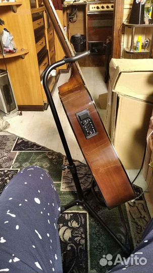 Двенадцатиструнная гитара