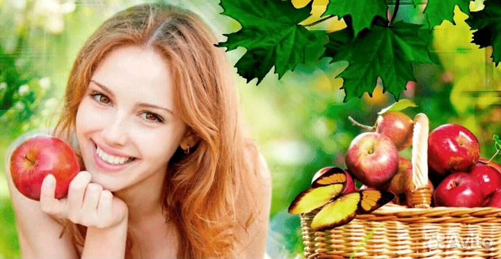 Требуется Сборщик