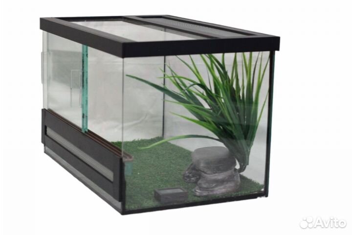 Террариум, эублефар