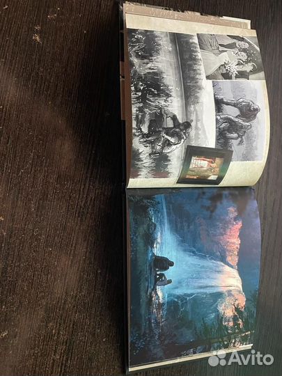 Жизнь после days gone ps4 Коллекционное издание