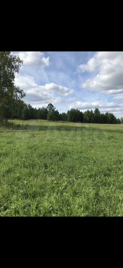 Участок 13 сот. (СНТ, ДНП)