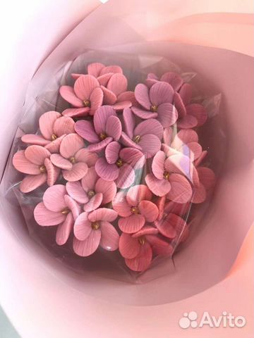 Гортензия шоколадная