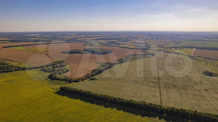 Участок 21 га (СНТ, ДНП)