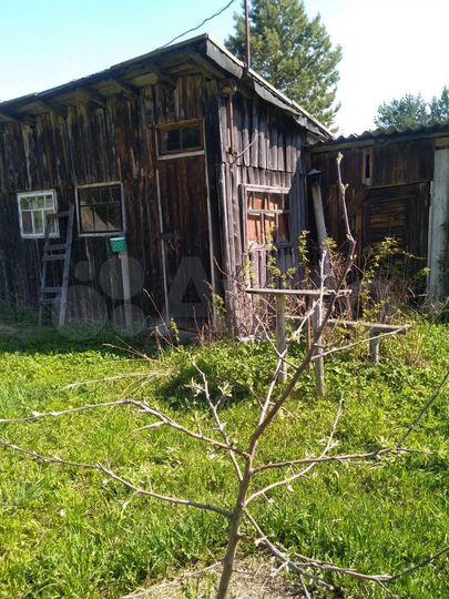 Участок 6 га (СНТ, ДНП)