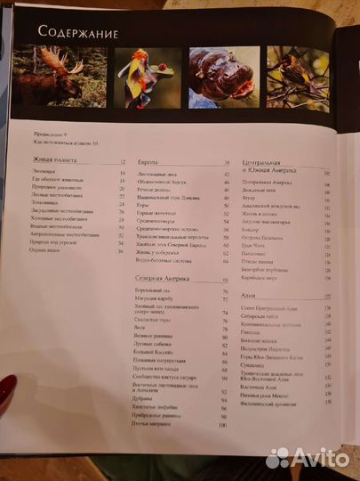 Иллюстрированный атлас Живая природа