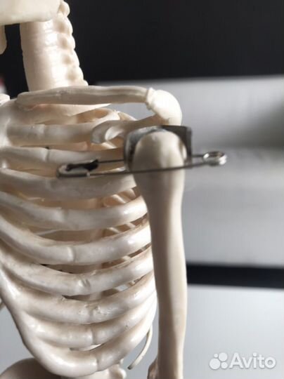 Учебное пособие для художников