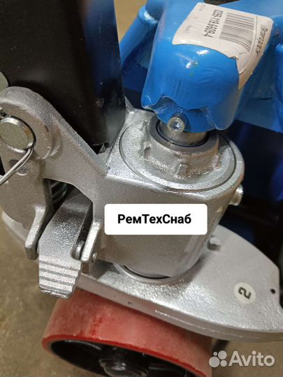 Рохля длинная