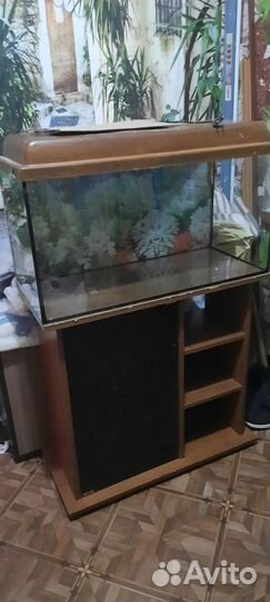 Аквариум с тумбой