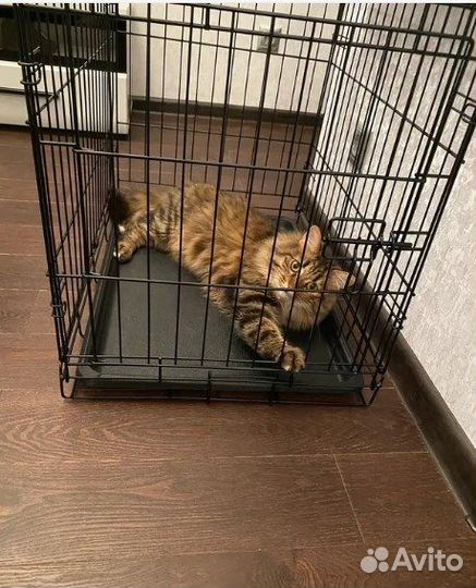 Клетки для собак