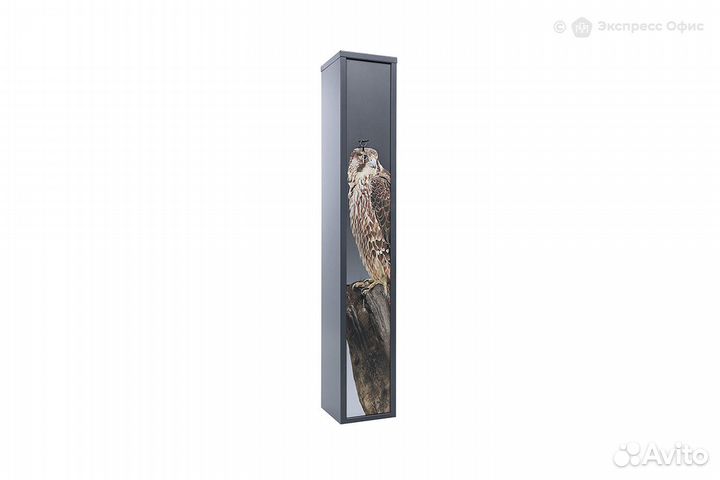 Оружейный сейф Aiko Беркут 3 Print