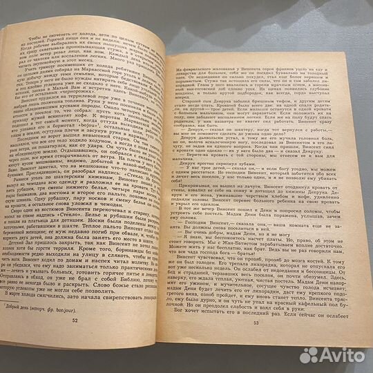 Ирвинг Стоун - Жажда жизни, Моряк в седле