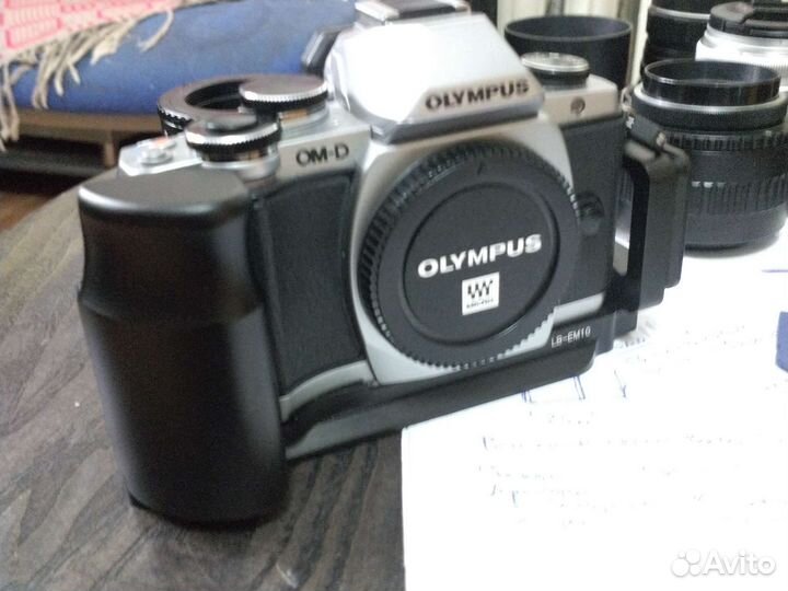 Системная камеры Olympus, Panasonic