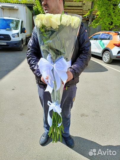 Розы гиганты 140 150 160 170 180 200