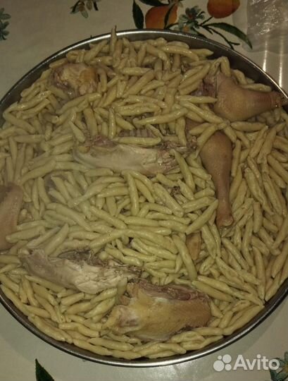 Куры домашние