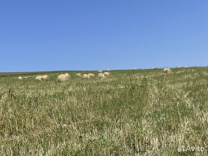 Продажа тюков