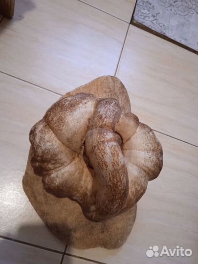 Продам кап берёзовый