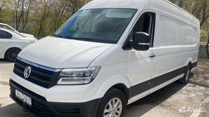 Перевозка суточных цыплят