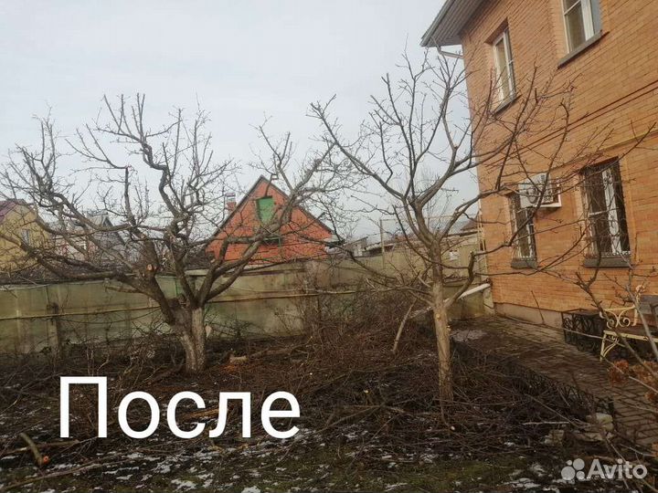 Услуги садовника