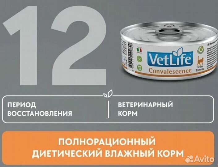 Farmina Vet Life Convalescence