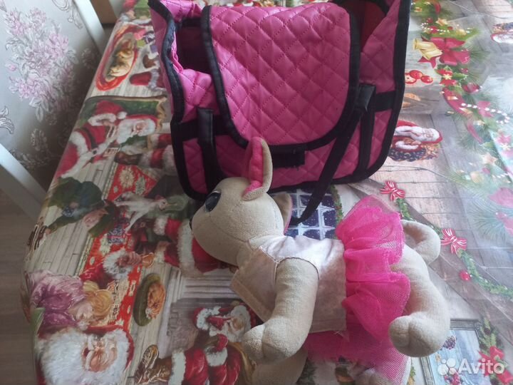 Собачка Чичилав