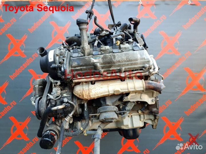 Двигатель 2UZ-FE Toyota Sequoia