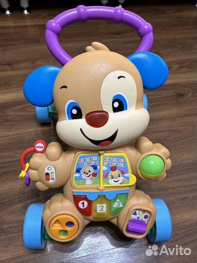 Ходунки Fisher-Price Ученый Щенок