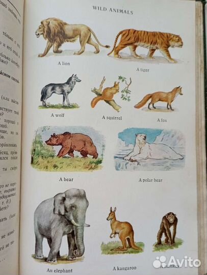 Англо-русский словарь с иллюстрациями