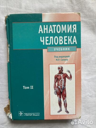 Учебник по анатомии для студентов Сапин