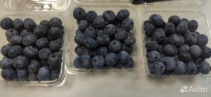 Голубика 1,5кг