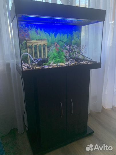 Аквариум на 80 литров с тумбой