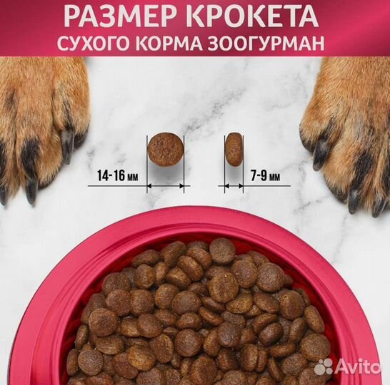 Корм для собак