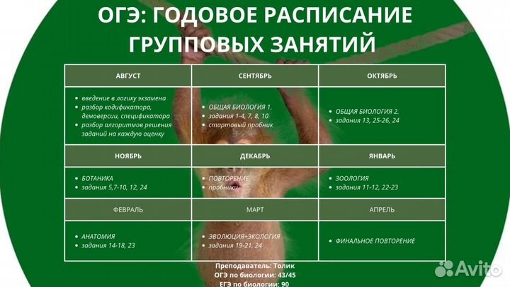 Репетитор ОГЭ/ЕГЭ по химии и биологии 2025
