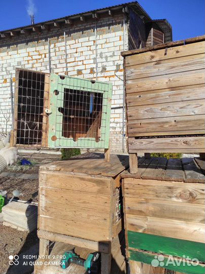 Клетка для кролика