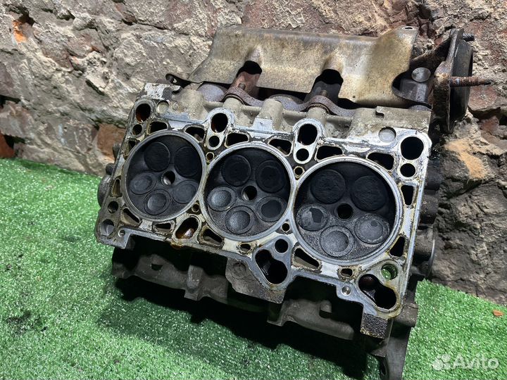 Гбц правая левая AlF 2.4