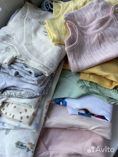 Боди новые 56-92 для малышей Primark