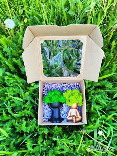 Кашпо, декорированные мхом