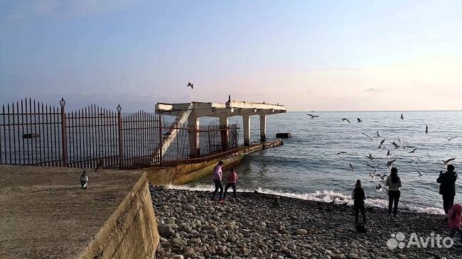 Сочи из Омска