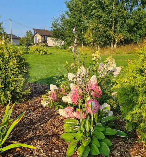 Дом 46 м² на участке 30 сот.